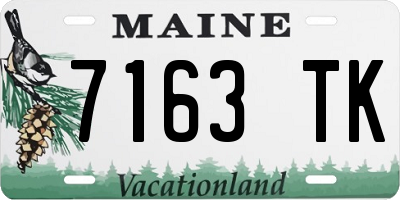 ME license plate 7163TK