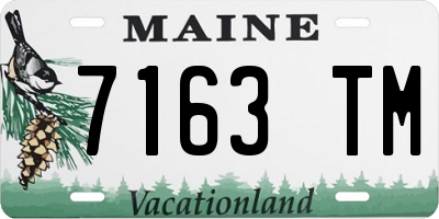 ME license plate 7163TM