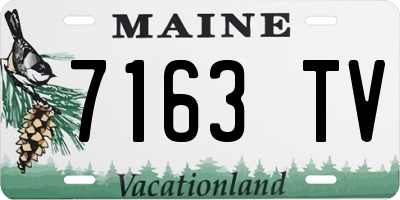 ME license plate 7163TV