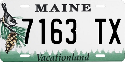 ME license plate 7163TX