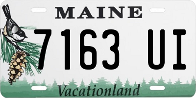 ME license plate 7163UI