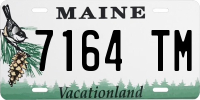 ME license plate 7164TM
