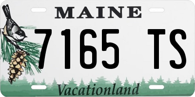ME license plate 7165TS