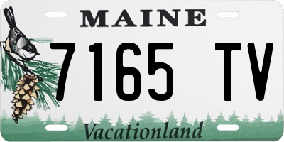 ME license plate 7165TV