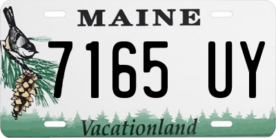 ME license plate 7165UY