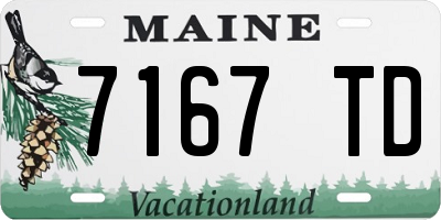 ME license plate 7167TD