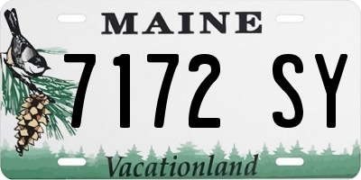 ME license plate 7172SY