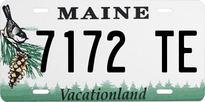 ME license plate 7172TE