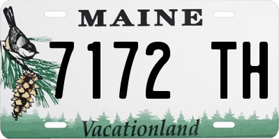 ME license plate 7172TH