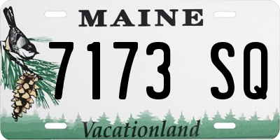 ME license plate 7173SQ
