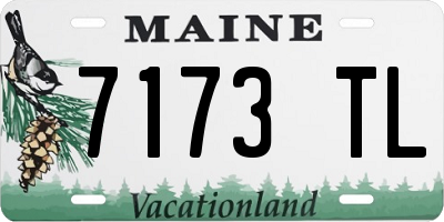 ME license plate 7173TL
