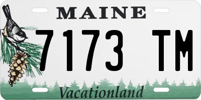 ME license plate 7173TM