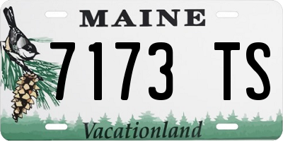 ME license plate 7173TS