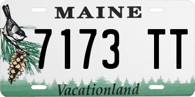 ME license plate 7173TT