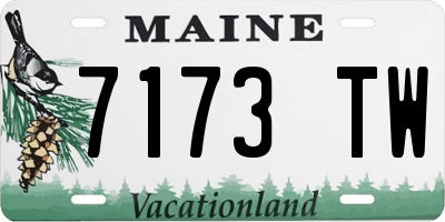 ME license plate 7173TW