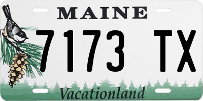 ME license plate 7173TX