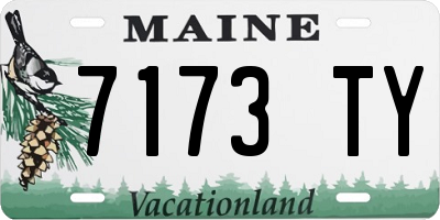 ME license plate 7173TY