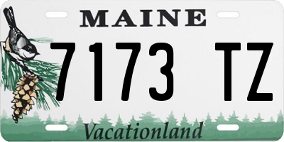 ME license plate 7173TZ