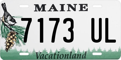 ME license plate 7173UL