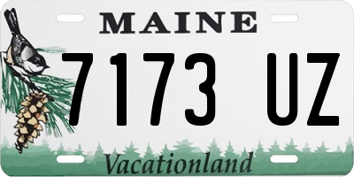 ME license plate 7173UZ