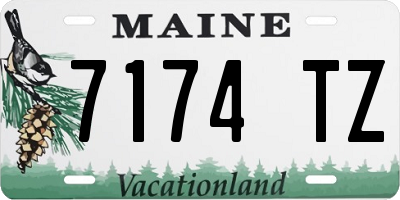 ME license plate 7174TZ