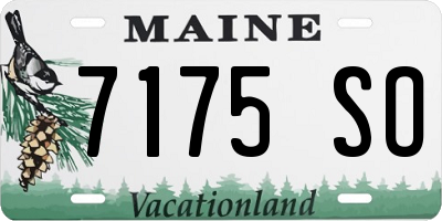 ME license plate 7175SO
