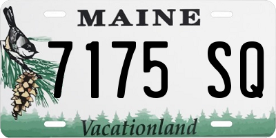 ME license plate 7175SQ