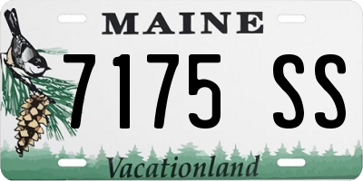 ME license plate 7175SS