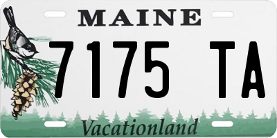 ME license plate 7175TA