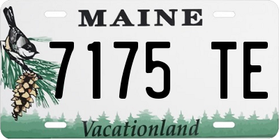 ME license plate 7175TE