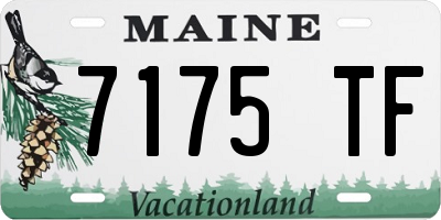 ME license plate 7175TF