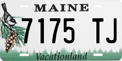 ME license plate 7175TJ