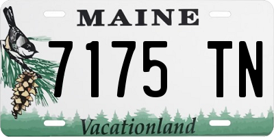 ME license plate 7175TN