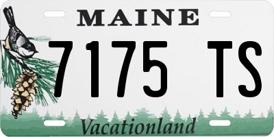 ME license plate 7175TS