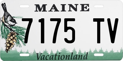 ME license plate 7175TV
