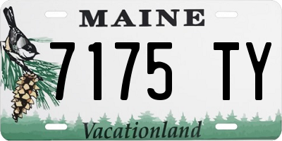ME license plate 7175TY