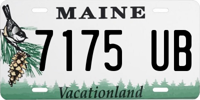 ME license plate 7175UB