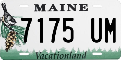 ME license plate 7175UM