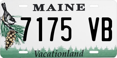 ME license plate 7175VB