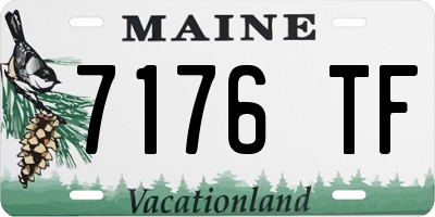 ME license plate 7176TF