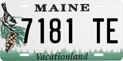 ME license plate 7181TE