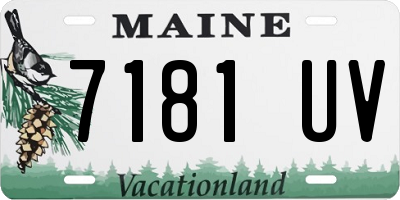 ME license plate 7181UV