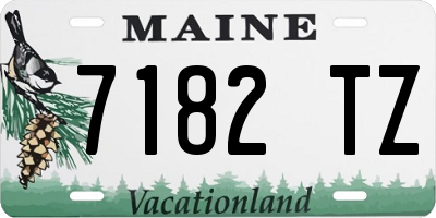 ME license plate 7182TZ