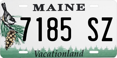 ME license plate 7185SZ