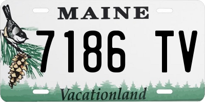 ME license plate 7186TV