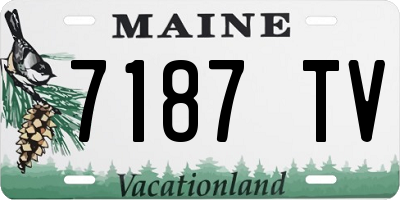ME license plate 7187TV