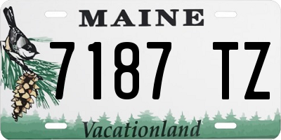 ME license plate 7187TZ