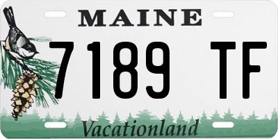 ME license plate 7189TF