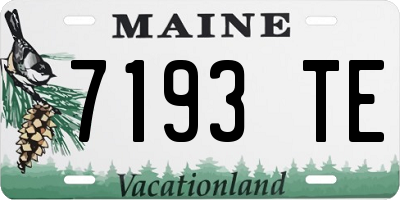 ME license plate 7193TE