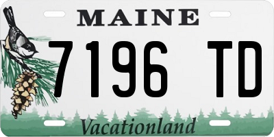 ME license plate 7196TD
